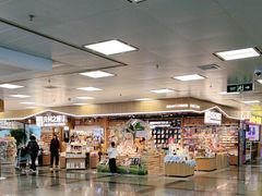 -厦门高崎国际机场-T3航站楼