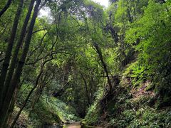-昆明青龙峡风景区