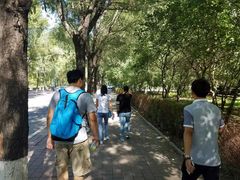 -吉林大学(前卫南区)