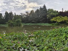 -洛阳市隋唐城遗址植物园