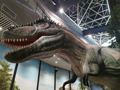 -湖南省地质博物馆