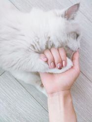 -Beauty Nails 美甲美睫皮肤管理