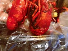 招牌虾-丹虾|文和友小龙虾·烙锅(陕西路旗舰店)