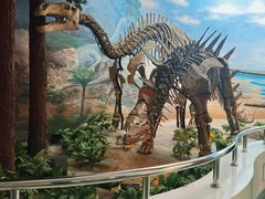 -延庆地质公园博物馆