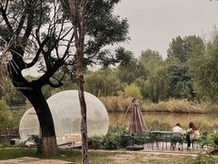 -Supine Bistro溯泮餐厅