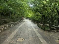 -佛慧山