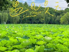 -高子水居