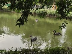 -长白岛森林公园