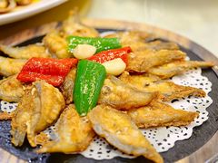 -有腥气私房菜·寻味顺德