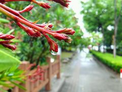 -新江湾城公园