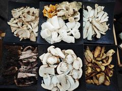 -蘑统田下·野生菌火锅