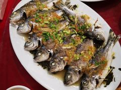 -天天海鲜城·海鲜大排档(新溪店)