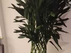 -梅花香里大酒店(郁金香路店)