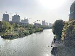 -皇粮浜湿地公园