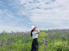 -紫颐香薰山谷景区