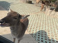 -常州淹城野生动物世界