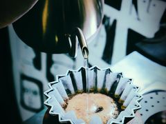 -2326 Coffee Roaster咖啡豆可选店(林肯公园店)