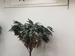 -君申律师事务所