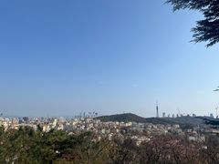 -信号山公园