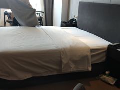 -成都峨眉雪芽大酒店