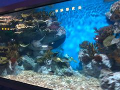 -福州罗源湾海洋世界旅游区