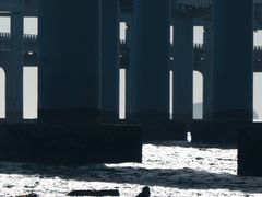 -星海湾跨海大桥