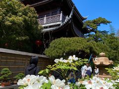 -龙华寺