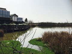 -白鹭湾湿地公园