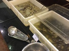 -三亚胜意海景酒店·海鲜自助餐厅(三亚湾路店)
