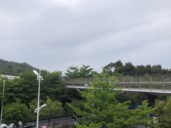 -仙岳公园