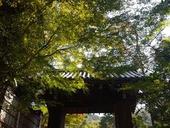 -常寂光寺