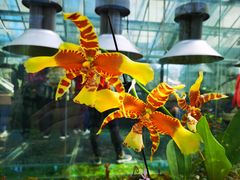-国家植物园南园