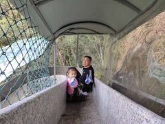 -九龙江国家森林公园