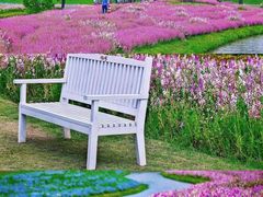 -花开海上生态园