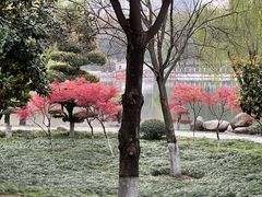 -后襄河公园
