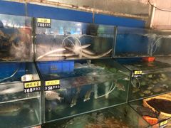水产区-台山美食一绝阿四台山黄鳝饭(阿四创作店)