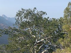 -少华山国家森林公园
