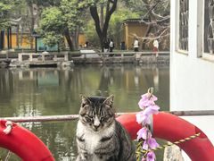 -西园寺素食(西园弄戒幢律寺店)