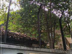 -巴金故居