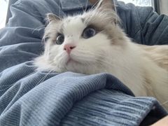 -宠颐生宠物医院·犬猫全科·皮肤科(商业街店)