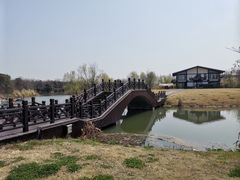 -南湖湿地公园