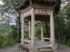 -金鸡山公园
