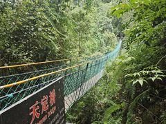 -大围山国家森林公园