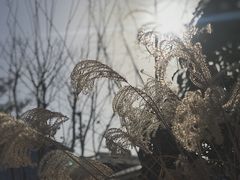 -太白山御龙湾温泉