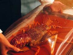 -金轩中餐厅 Jin Xuan(浦东丽思卡尔顿酒店)