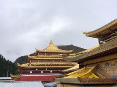 -达仓郎木寺院