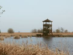 -盐城丹顶鹤湿地生态旅游区