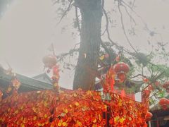 -北山公园