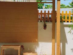 -椿风·养身茶饮(吉大店)