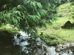 -硗碛藏寨·神木垒景区